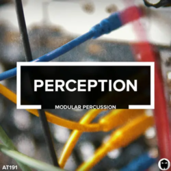 AT191 Perception // Modular Percussion WAV