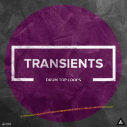 AT251 Transients // Drum Top Loops WAV