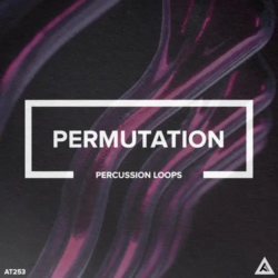 AT253 Permutation // Percussion Loops WAV