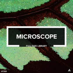 AT265 Microscope // Full Size Library WAV