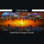 PulseSetter Sounds Cello Ibrida KONTAKT