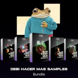 Flywavs DeBi HaCER MaS SaMPLes [WAV Analog Lab V Bank]