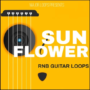 Major Loops Sunflower WAV