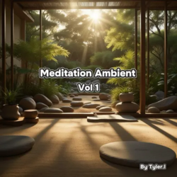 Tyler.l Meditation Ambient Vol 1 WAV