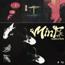 Jazzfeezy Mint (Jazzfeezy & TY) WAV