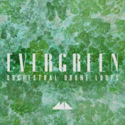 ModeAudio Evergreen - Orchestral Drone Loops WAV