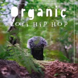 Mondo Loops Organic Lofi Hip Hop Vol 1 WAV