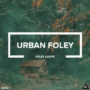 AT243 Urban Foley // Foley Loops WAV
