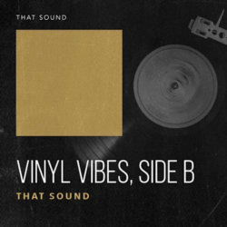 That Sound Vinyl Vibes - Side B WAV