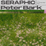 nu.wav Peter Bark - Seraphic WAV