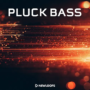 New Loops Pluck Bass WAV KONTAKT