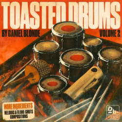 Souce Lab Audio Daniel Blonde Toasted Drums Vol.2 WAV