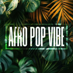 Digi Exclusive Afro Pop Vibe WAV