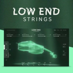 NI Low End Strings v1.0.2 KONTAKT