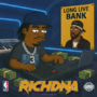 OGXCLUSIV Richdna (Serum 2 Bank + Drumkit)
