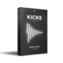 The Producer School Kicks WAV FST ADG
