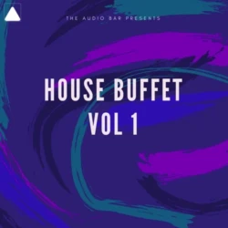 The Audio Bar House Buffet Vol.1 WAV PRESETS