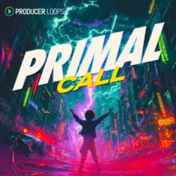 Producer Loops Primal Call MULTIFORMAT