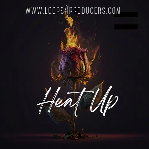 Loops 4 Producers Heat Up WAV