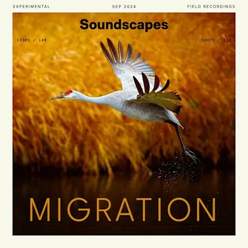 Splice Soundscapes Migration WAV