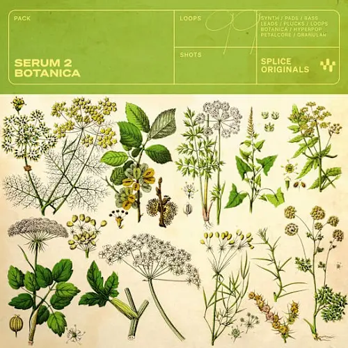 Splice Originals Serum 2 Botanica [WAV SERUM 2 PRESETS]