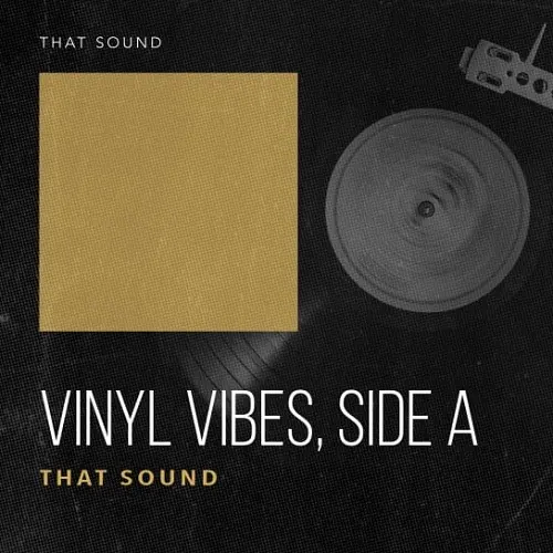 That Sound Vinyl Vibes - Side A WAV PRESETS
