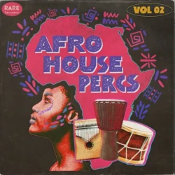 RARE Percussion Afro House Percs vol. 2 WAV