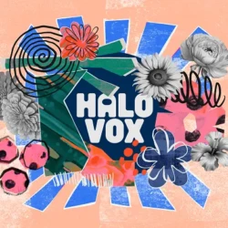 Native Instruments Halo Vox v1.0.0 KONTAKT