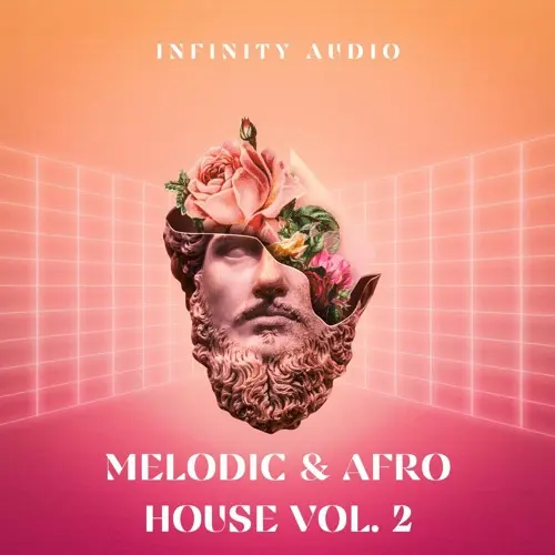Infinity Audio Melodic & Afro House Vol 2 WAV MIDI