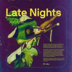 Renraku Late Nights - Afro Rnb WAV