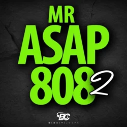 Big Citi Loops Mr Asap 808 2 WAV