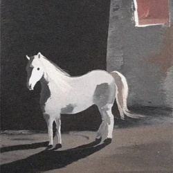 DANA Sang Woo Sound Pack WAV