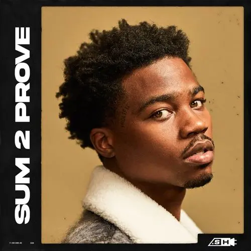 Sample Hub Sum 2 Prove WAV