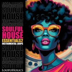 Loopoholics Soulful House Essentials 2: Loops WAV