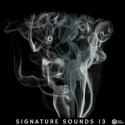 Olly James Signature Sounds Vol.13 WAV MIDI