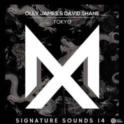 Olly James Signature Sounds vol.14 (Tokyo) WAV MIDI PRESETS