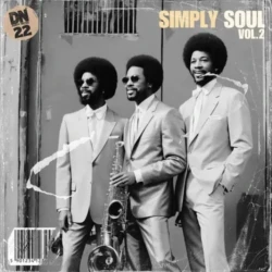 Dusty Notes Simply Soul Vol.2 WAV