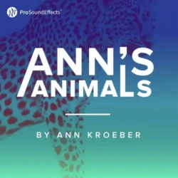 Pro Sound Effects Anns Animals WAV