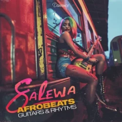 Daneemoe SALEWA – Afrobeats Guitars & Rhythms WAV
