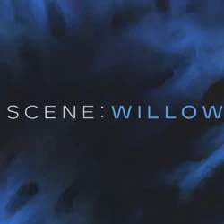 Native Instruments Scene: Willow v1.0.0 KONTAKT