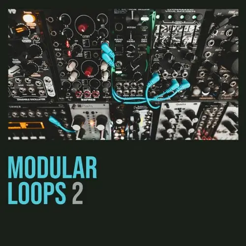 Shed Skin Records Modular Loops 2 WAV