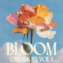 Adieu Bloom One Shots Vol 1 WAV