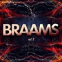 SampleTraxx BRAAMS Vol.2 WAV KONTAKT