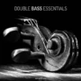 SampleTraxx Double Bass Essentials WAV KONTAKT