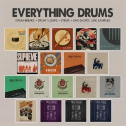 Retro Loops Everything Drums (One-Shots & Drum Breaks) WAV