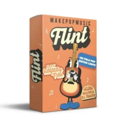 Make Pop Music Flint (Folk Guitar Loops) WAV