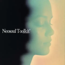 Dionso & Xandros Neo-Soul Toolkit Vol.1 WAV