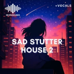 Seven Sounds Sad Stutter House 2