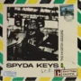 Rhythm Paints Spyda Keys & Piano WAV
