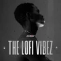 Diginoiz The Lofi Vibez WAV